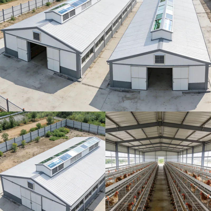 Prefab Steel Structure Chicken Poultry House